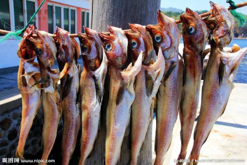 魚干