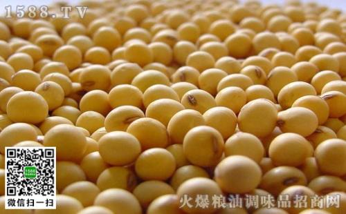 海倫大豆