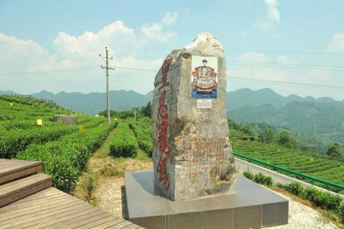 伍家臺貢茶