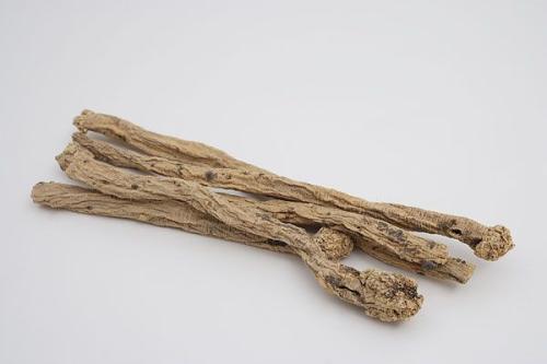 巴東獨(dú)活