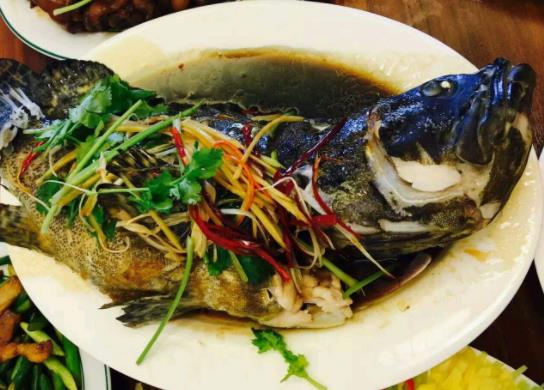 石斑魚