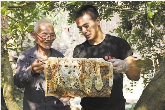圖片