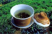 雪水云綠茶