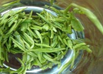 陽(yáng)羨雪芽